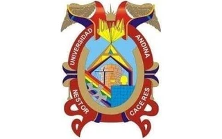 Logo de la Universidad Andina Néstor Cáceres Velásquez